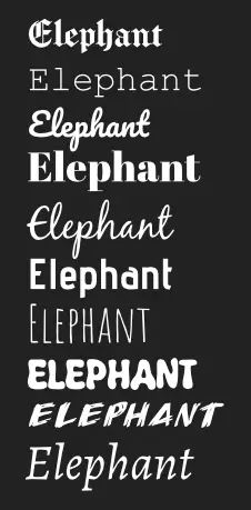 The selection of fonts, quickly assembled within my design software.