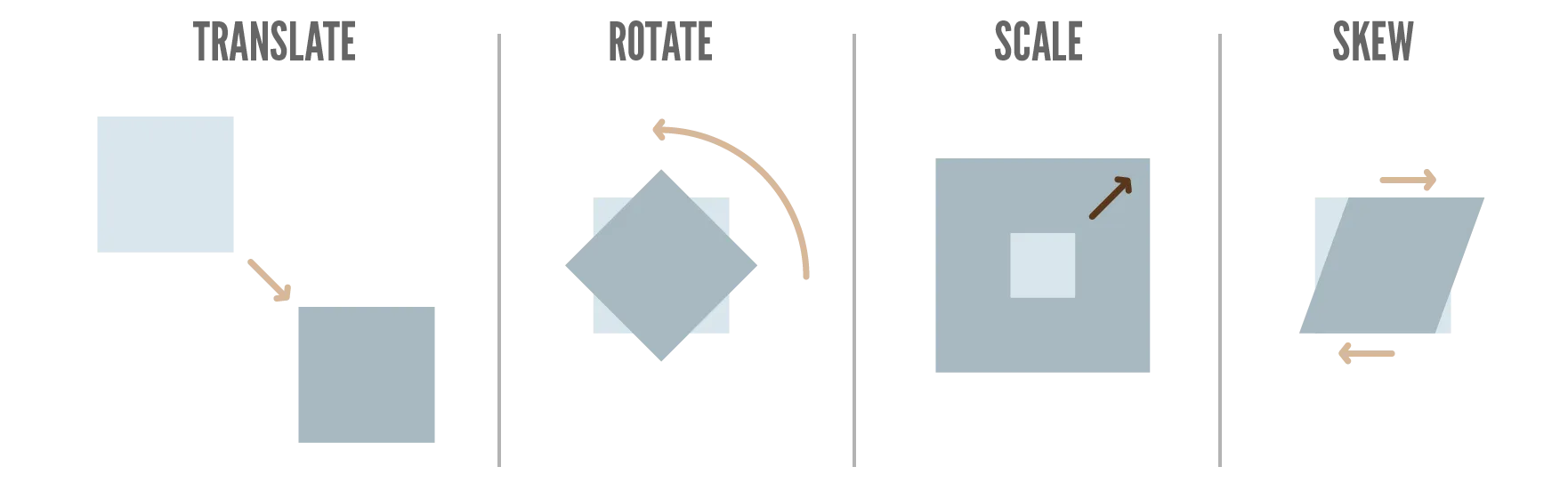 Example of the main transforms in 2D