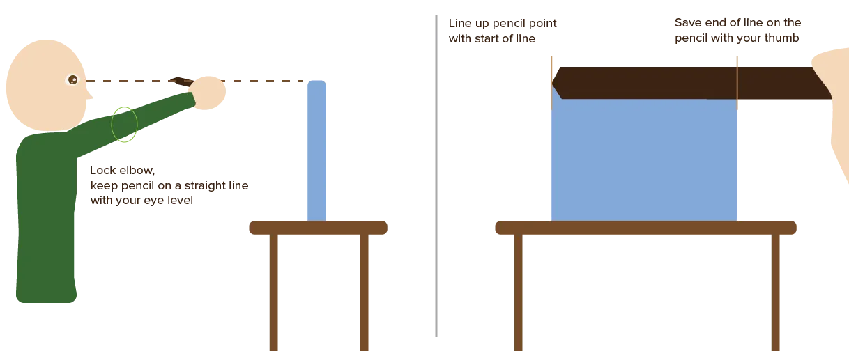 Example of using pencil measuring for proportions.